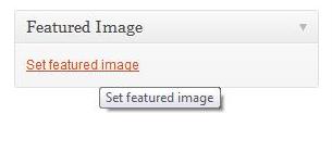 Wordpress Featured Image Section