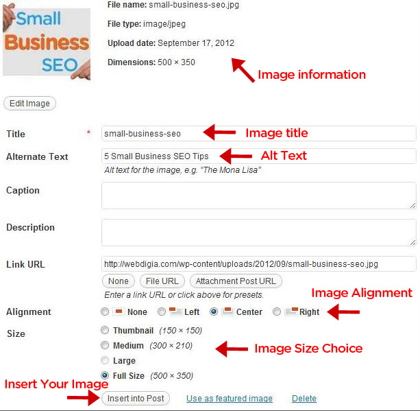 Image information and Insert into post