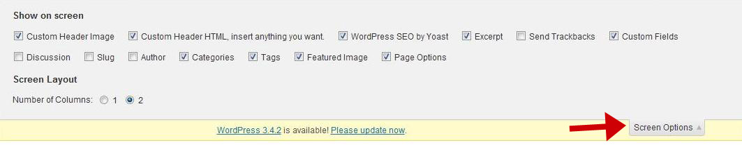 Wordpress Screen Options