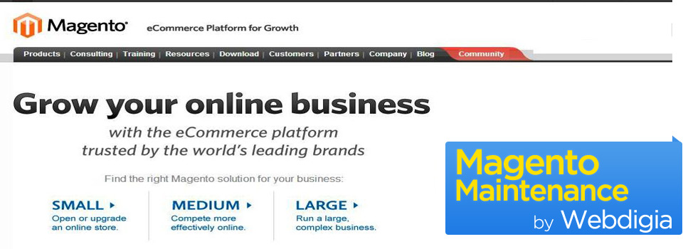 Magento Maintenance and Management