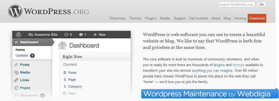 Wordpress Maintenance and Management